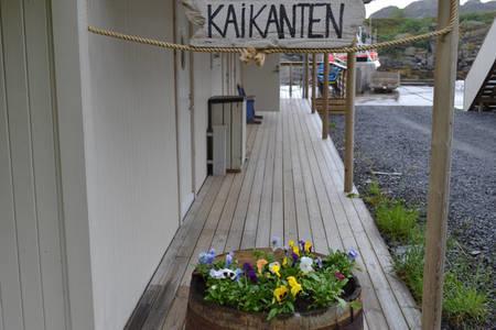 Kaikanten Rorbuer Sennesvik Kültér fotó